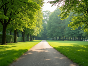 Finding Harmony: Effective Evidence-Based Approaches to Holistic Mood Disorder Treatment for Families in Kissimmee