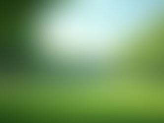 Effective Family Support Strategies for Those Facing Depression in Boca Raton