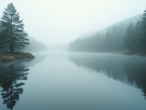 Exploring the Spectrum of Mood Disorders: Types and Insights for Better Understanding