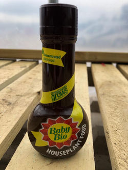 Baby Bio Plant Feed