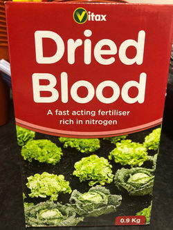 Dried Blood