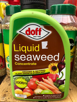 Liquid Seaweed