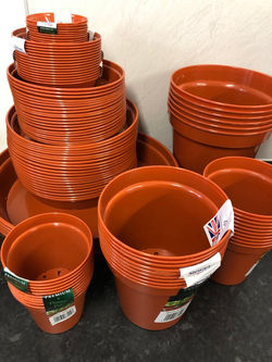 Various Stewart Pots and saucers