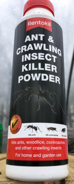 Rentokil Ant & Crawling Insect Killer Po