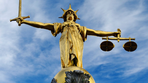 Go to Court