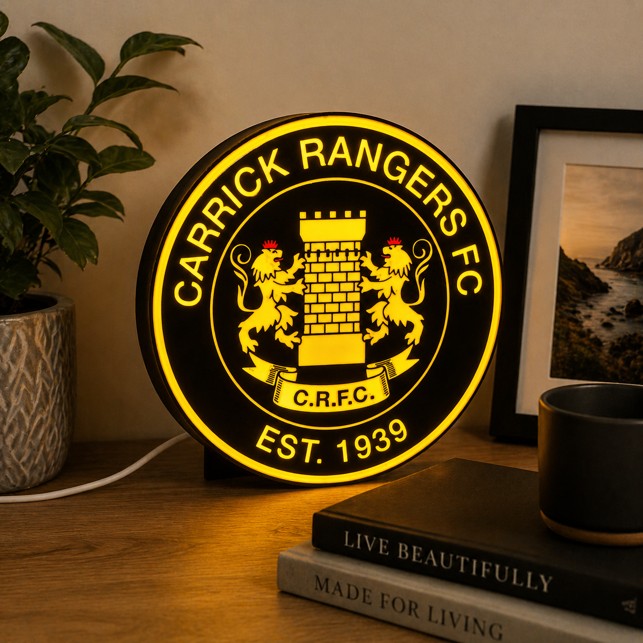 Carrick Rangers FC Lightbox