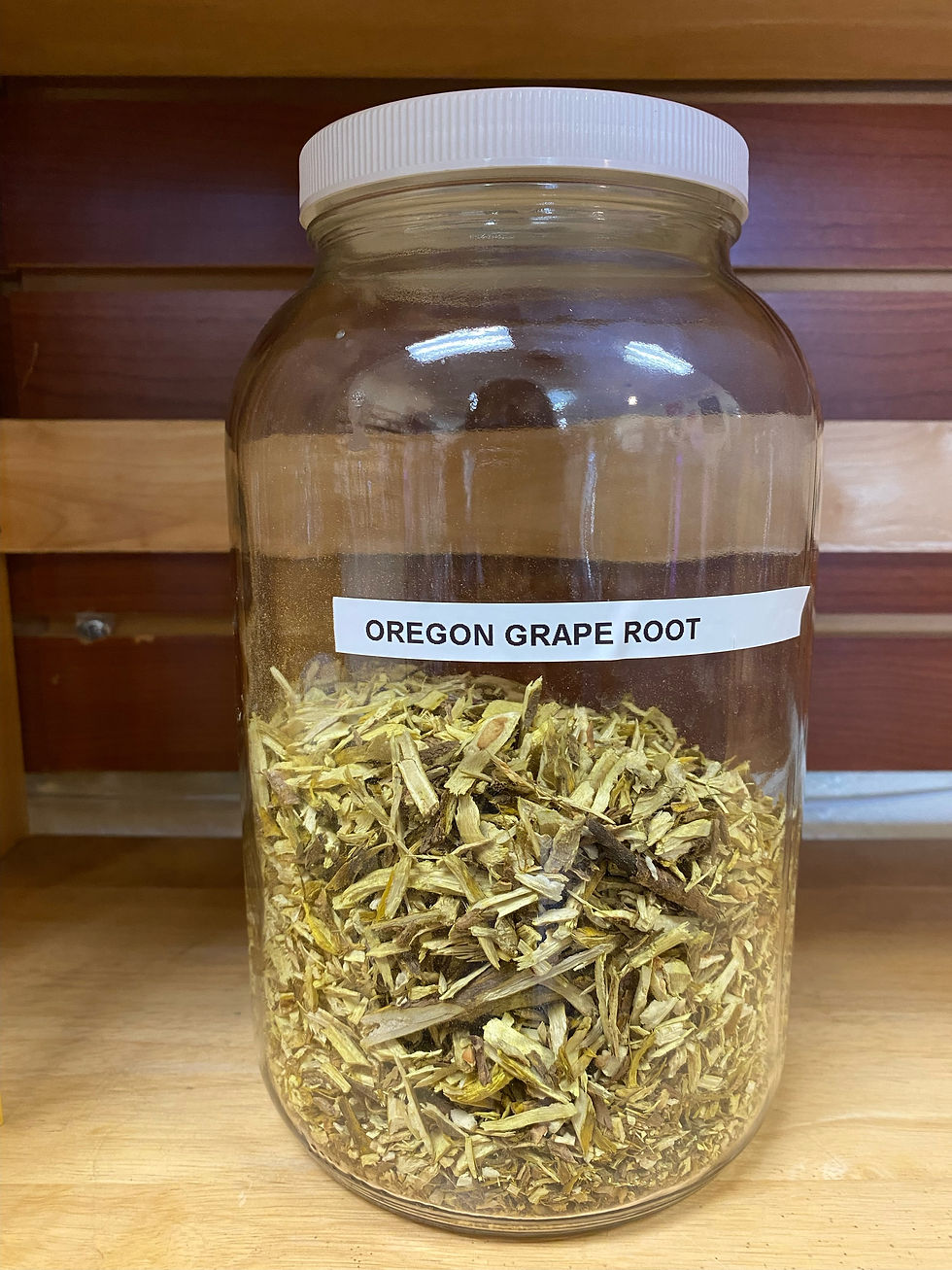 Oregon Grape Root