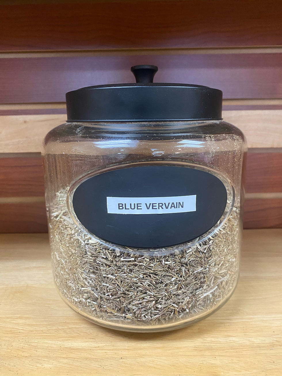 Blue Vervain