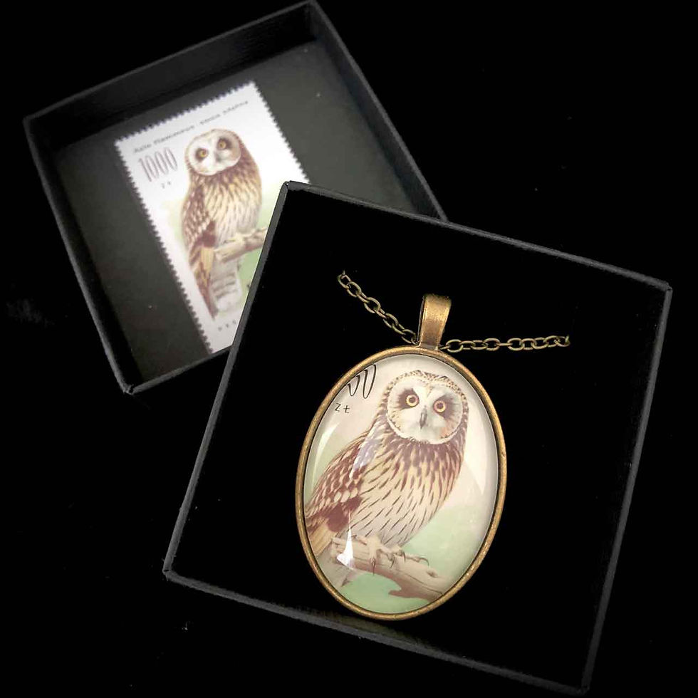 Miniaturbild: Eule Polen 1