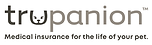 NEW LAH transparent logo for brand identity