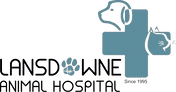 NEW LAH horizontal logo with transparent background
