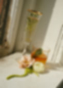 DSC01341.jpg