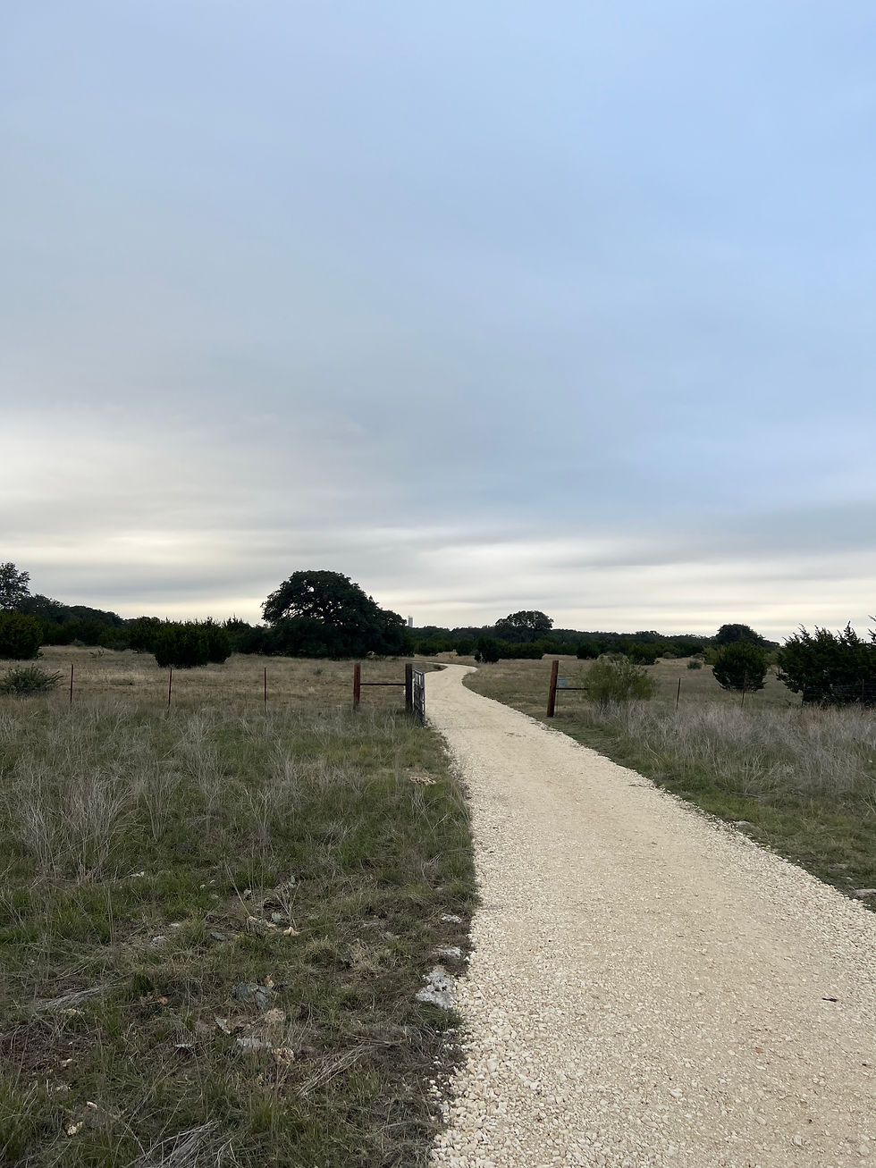 The Road to Ava's Wayback