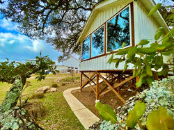 JACK's big windows and views