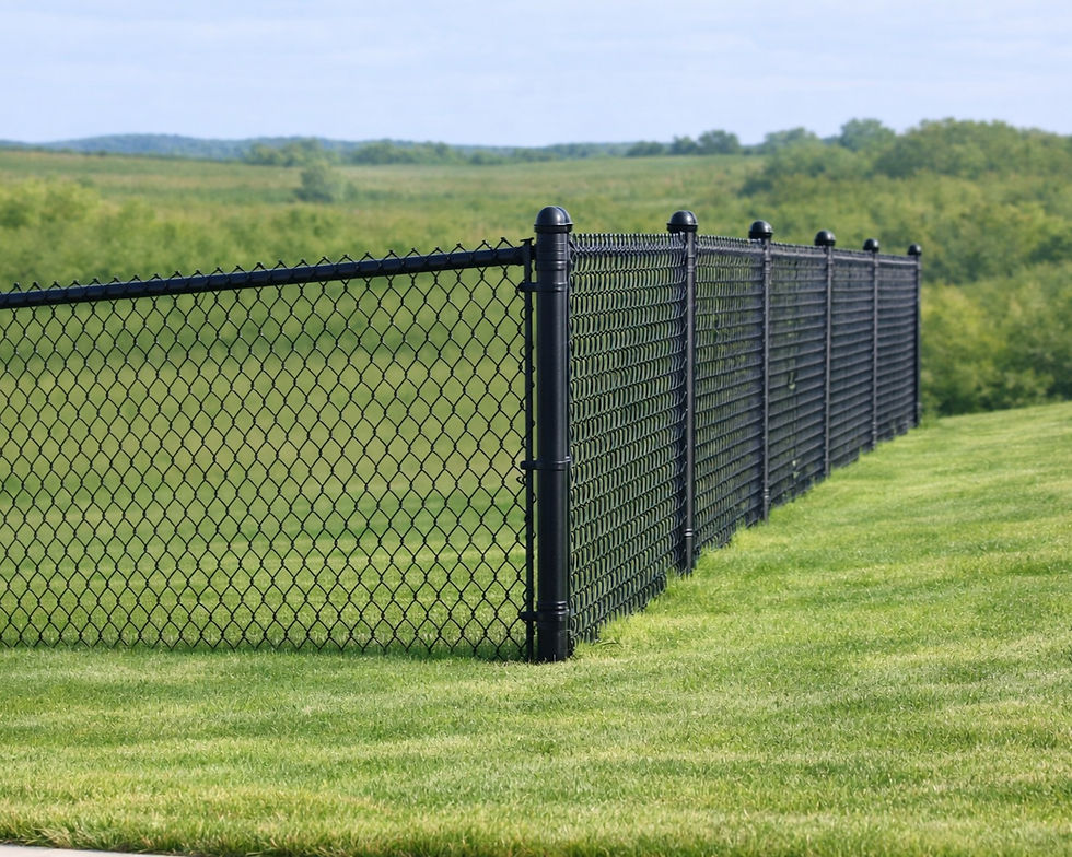 Chain Link fence