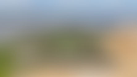 Stage 1 - Grain to Gravesend - 6th June 2024