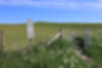 The Ridgeway - Ashbury to Letcombe Bassett. White Horse Hill