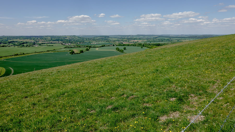 View from the top