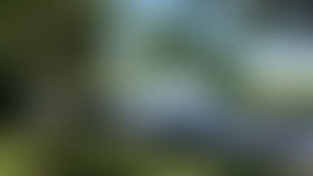 Stage 9 - Abingdon to Swinford Bridge - 25th June 2024