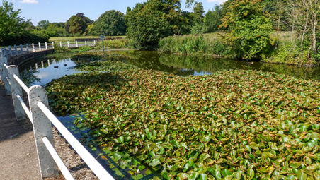 Crossing the Meridian. Quaintness personified. Last orders in Elmdon. M11 horror averted