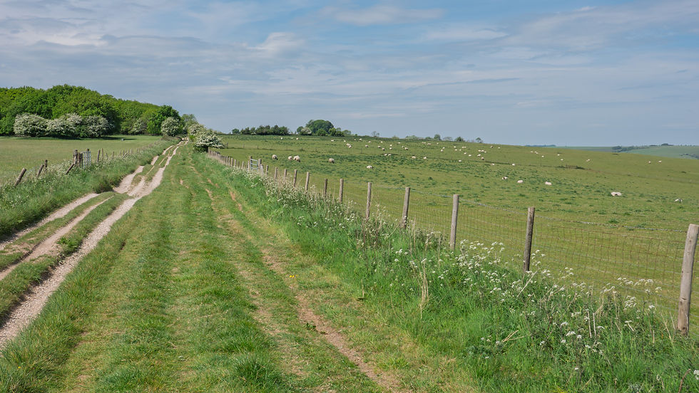 Sometimes the path would be like this