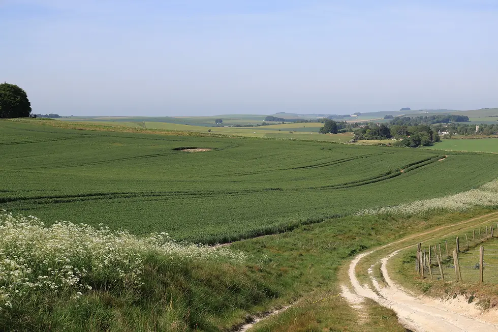 Looking back towards Avebury