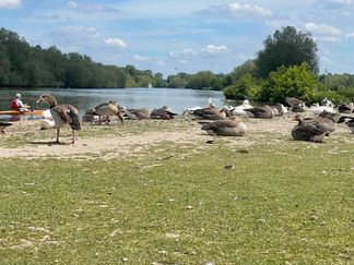 TH-0085 - Thames Valley Park.JPEG.jpg