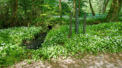 DSC01449-SharpenAI-focus