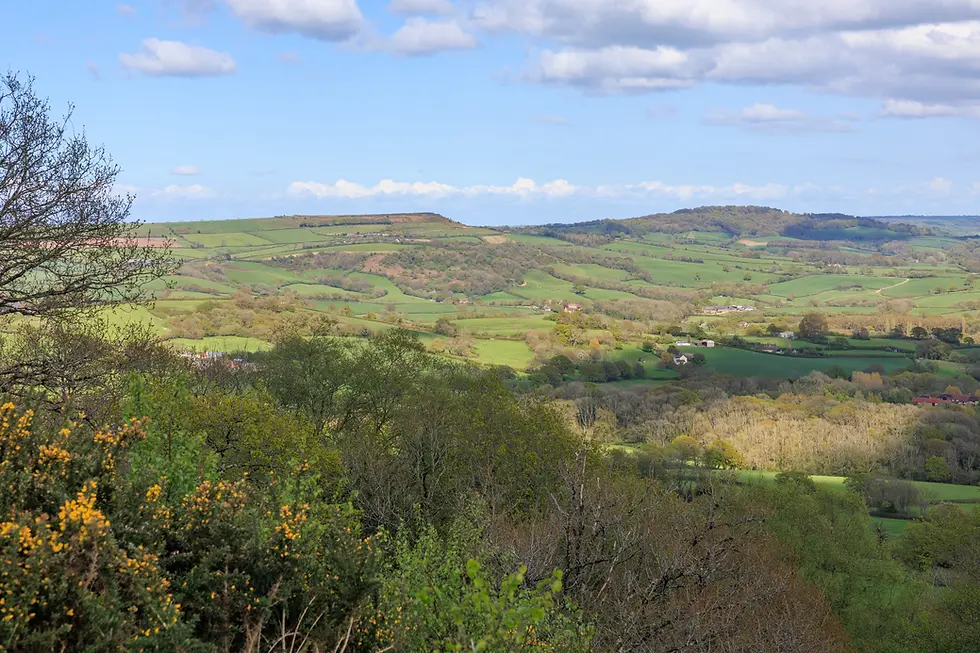 Lambert's Castle Hill. Wessex Ridgeway part of the Great Chalk Way