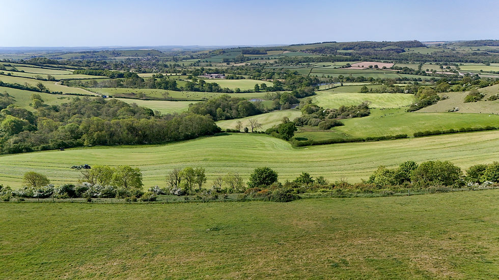 Fabulous views
