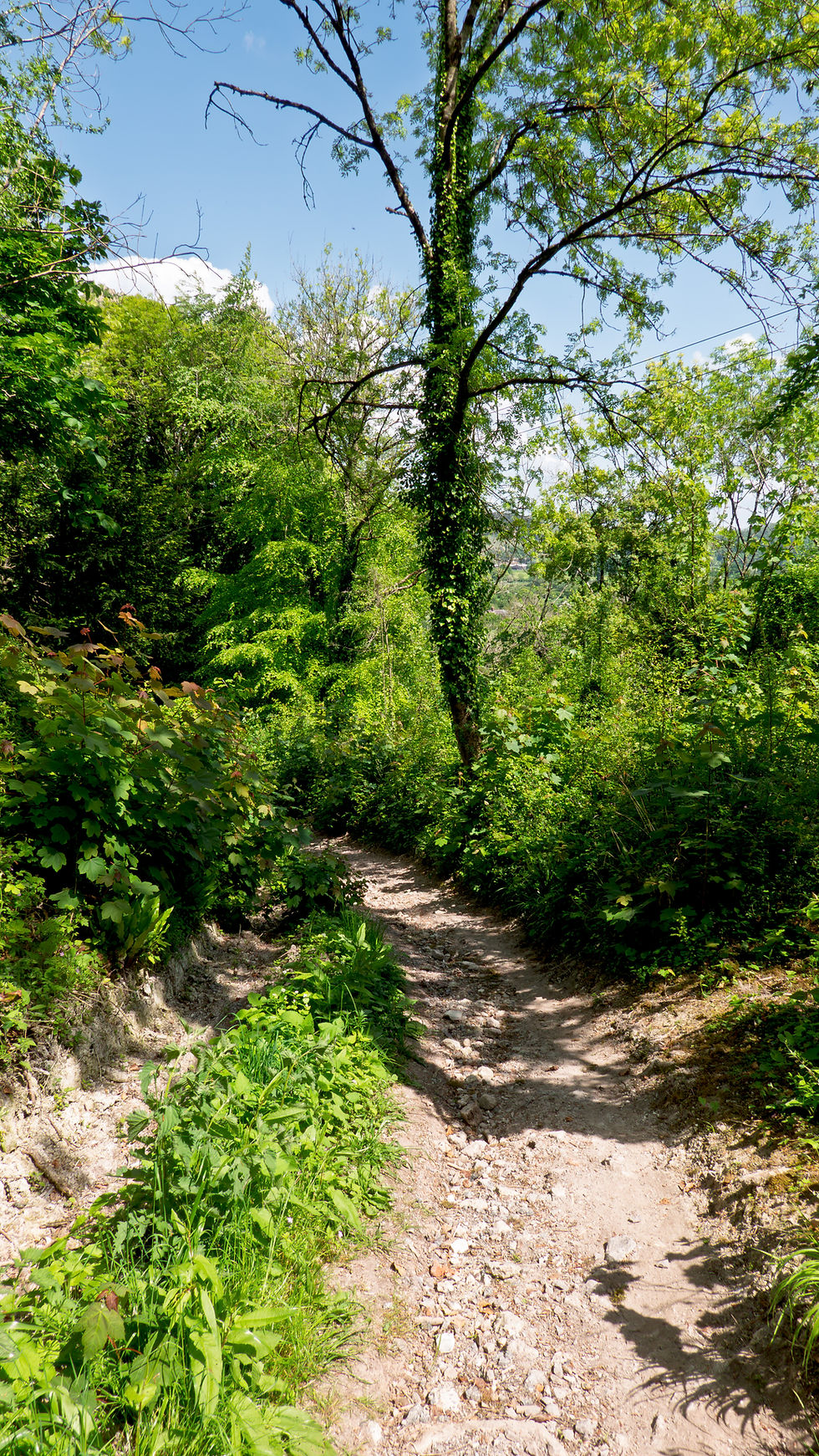 The path down Shillingstone Hill doesn't look very steep at all - but it is!
