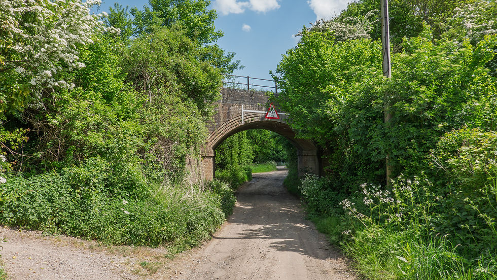 The 14 mile North Dorset Trailway Network uses mainly former disused railways including here at Shillingstone