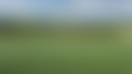 Stage 7 - Cranborne Droves Way - Win Green to Salisbury - May 11th 2025