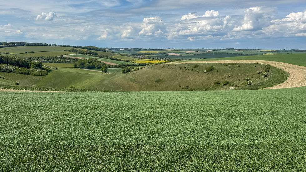 Stage 7 - Cranborne Droves Way - Win Green to Salisbury - May 11th 2025
