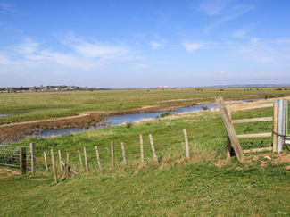 GC-059 - Allhallows in the background. There were lots of shiny new gates along the path.j