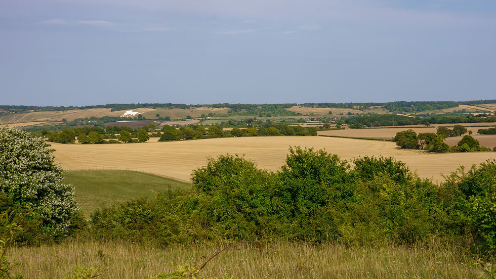 That's the Whipsnade White Horse in the background. The next stage will take me there