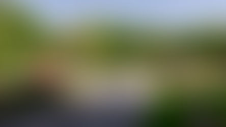 Stage 6 - Wessex Ridgeway - Iwerne Courtney to Ludwell - May 10th 2025