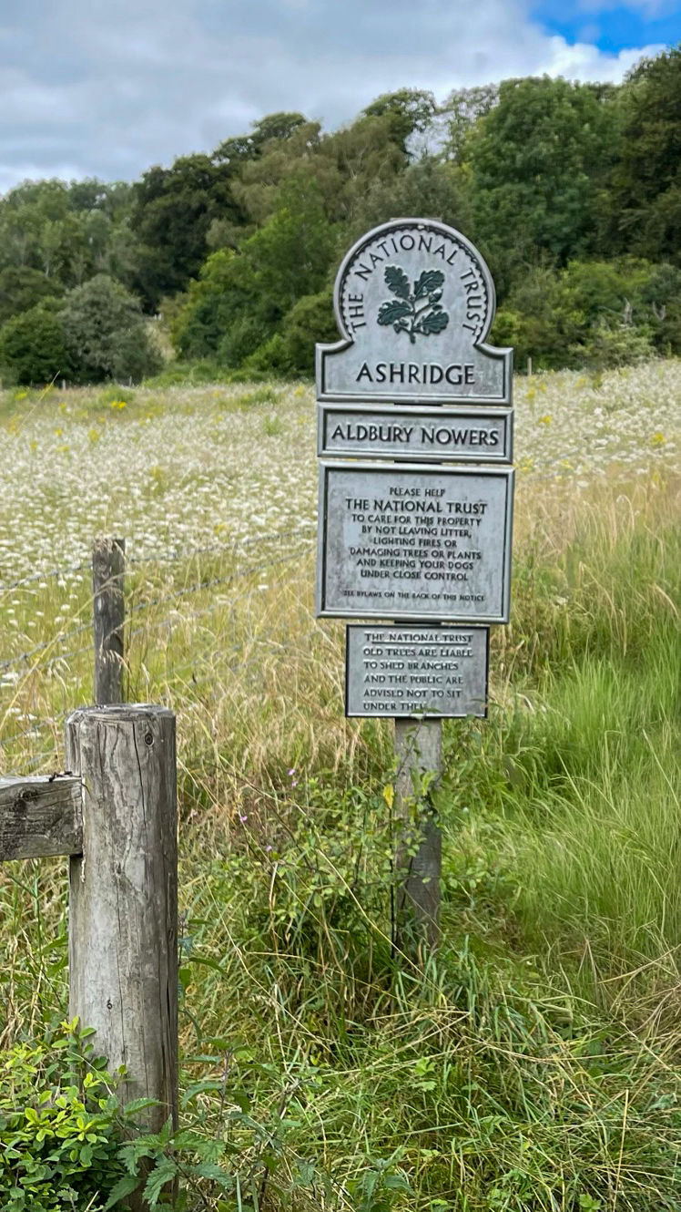 Up we go. Aldbury Nowers is a 50 acre SSSI home to more than 30 types of butterfly