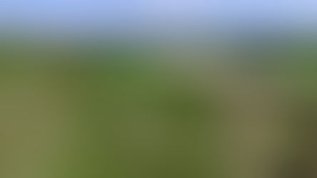 Stage 4 - Wessex Ridgeway - Maiden Newton to Lower Ansty - May 1st 2025