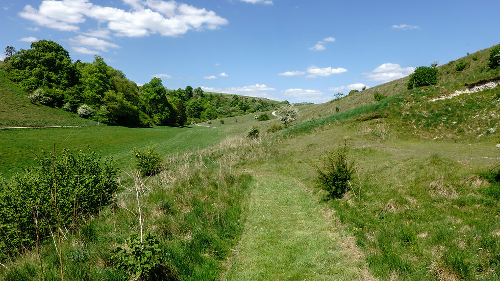 Ashcombe Bottom