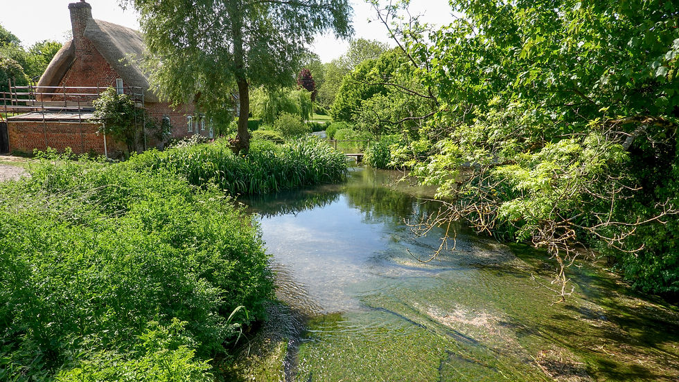 River Ebble in Stratford Tony