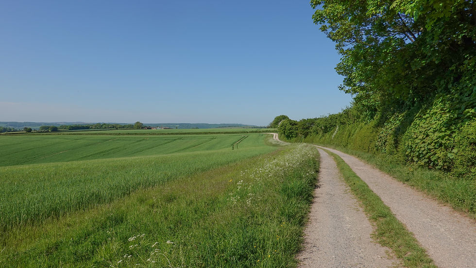 Nice track to walk along
