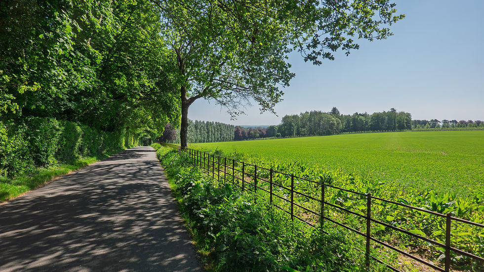 Little bit of road walking