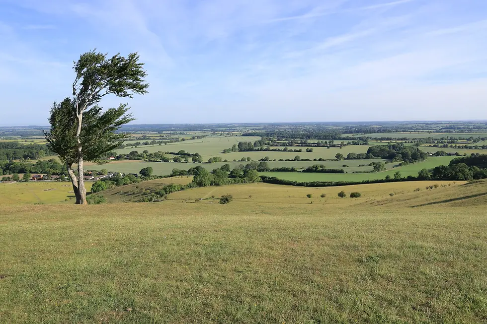 Pegsdon Hills