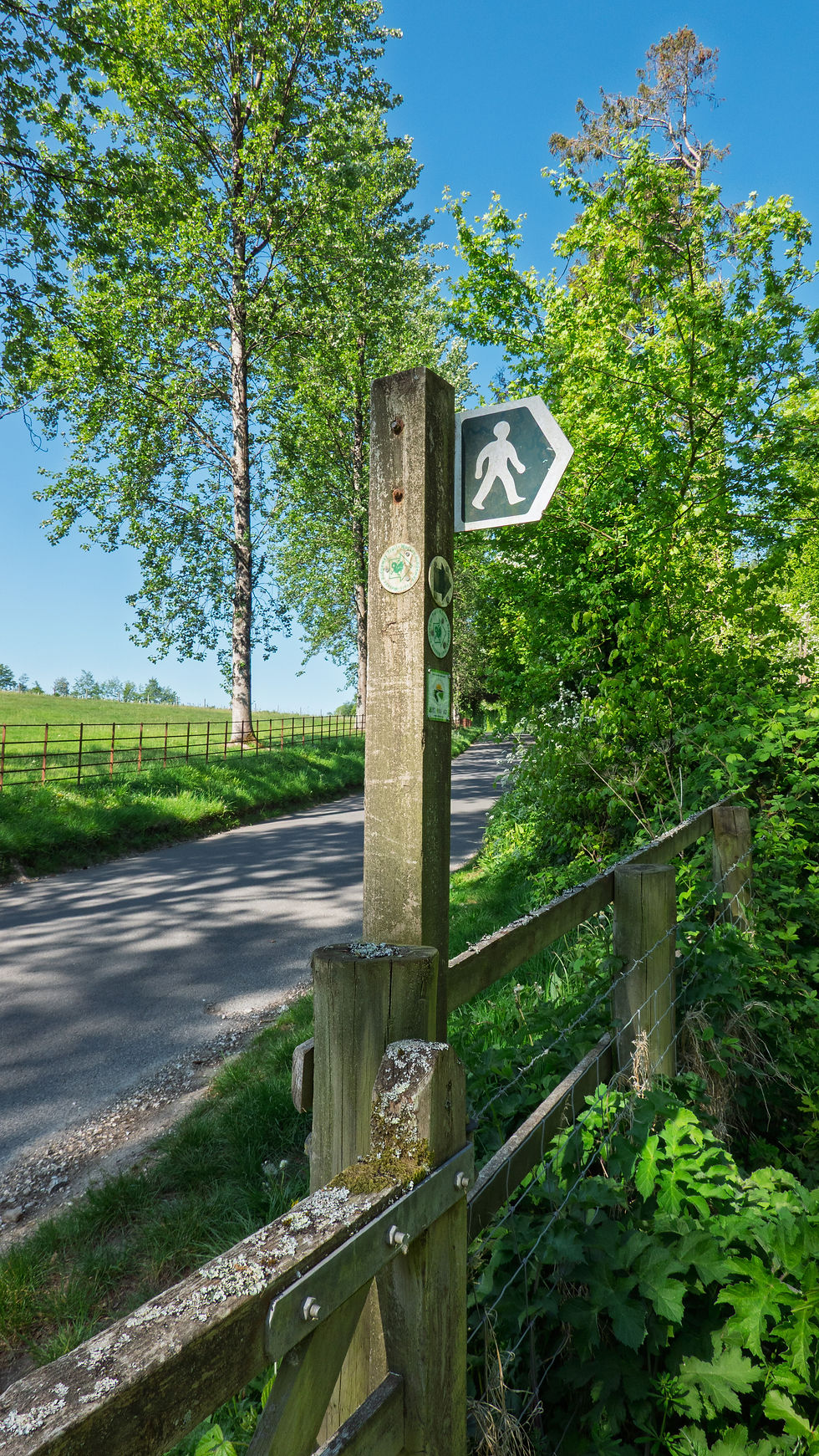 Now entering Ashmore Wood