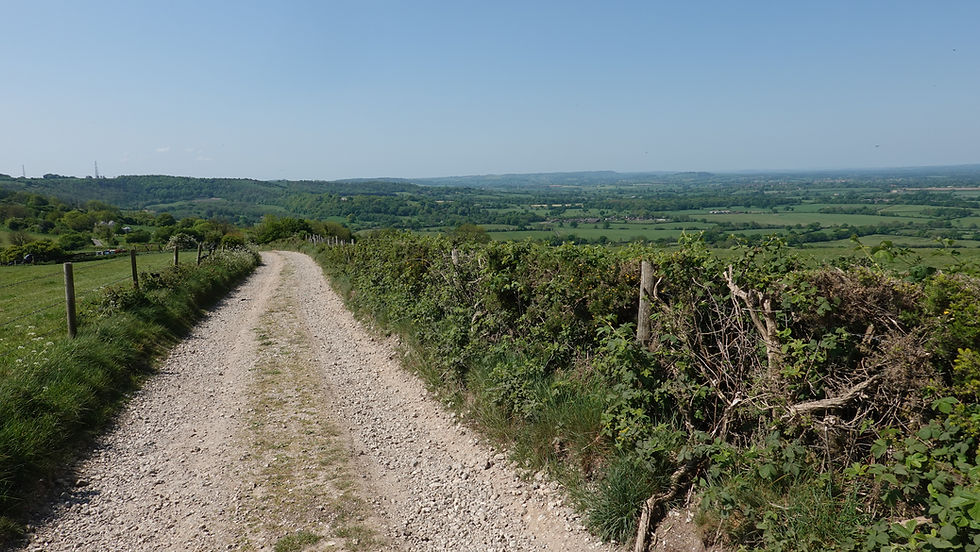 Beyond Ibberton the trail left the road