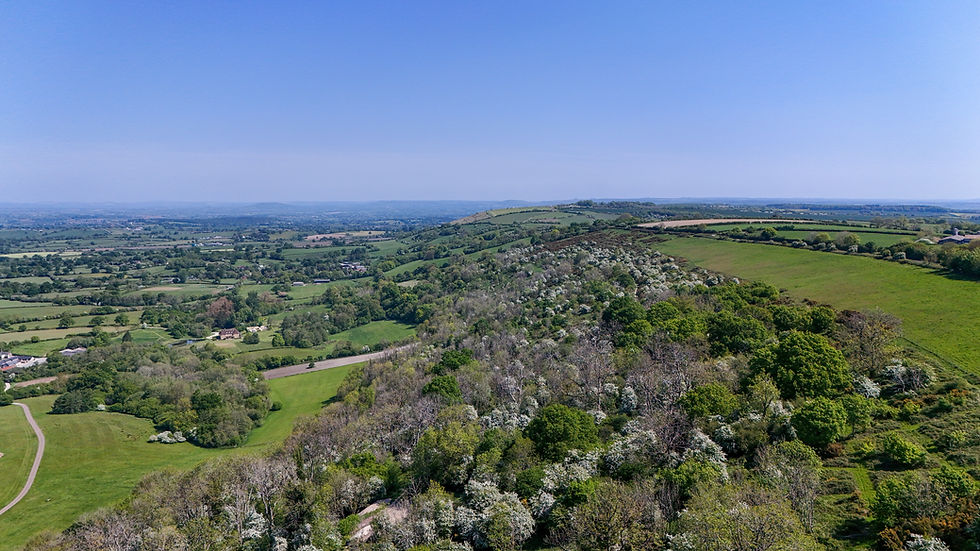 Looking down at Chitcombe Down
