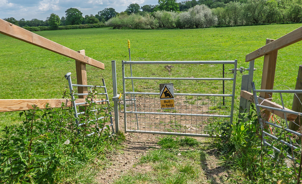 Warning of a bull but no sign of him
