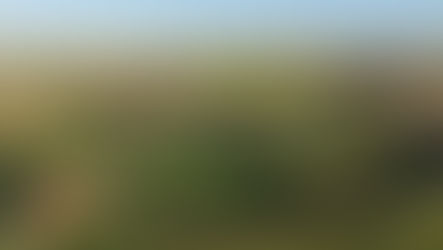 Stage 33 - Wessex Ridgeway - Devizes to Avebury - April 5th 2026