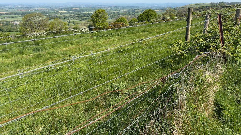 This is more like the fencing in a POW camp! Guessing the landowner doesn't want people in his field